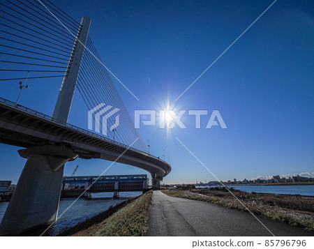 Harp Bridge and Sunlight at Arakawa Middle Bank 85796796