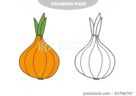 Simple coloring page. Onion - line art. Vegetables 85796797