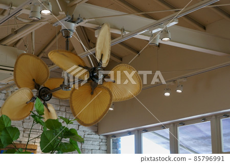 Sealing fan of tropical cafe Sealing fan of tropical cafe 85796991