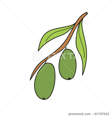 Simple cartoon icon. Branch of olive. Flat vector colorful illustration. Simple cartoon icon. Branch of olive. Flat vector colorful illustration. 85797085