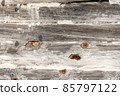 Wooden Rustic texture or background. 85797122