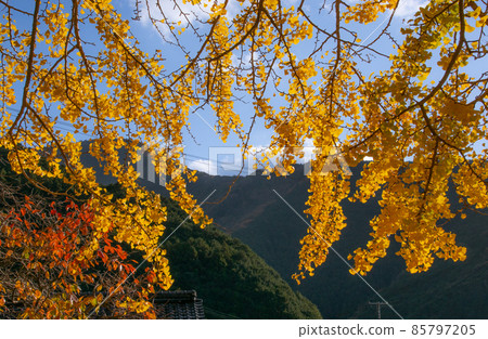 Autumn in Yamamura Hosenji Temple, Fukusada, Nakahechi-cho, Tanabe City, Wakayama Prefecture Autumn in Yamamura Hosenji Temple, Fukusada, Nakahechi-cho, Tanabe City, Wakayama Prefecture 85797205
