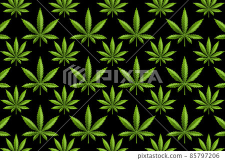 Marijuana leaf or cannabis leaf weed pattern Marijuana leaf or cannabis leaf weed pattern 85797206