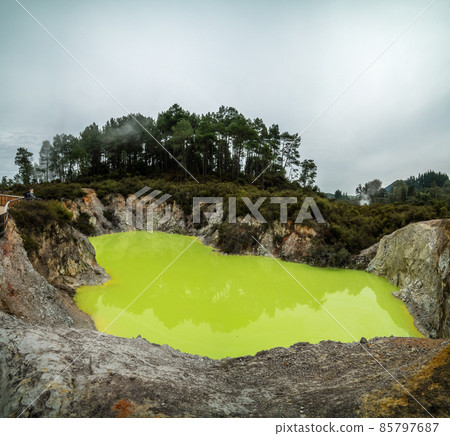 Green hot thermal spring, Rotorua, New Zealand Green hot thermal spring, Rotorua, New Zealand 85797687