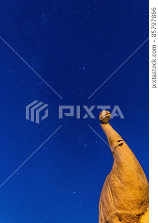 [Starscape] Innoshima dinosaur night view 85797866