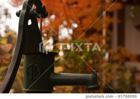 Nostalgic autumn leaves 85798099