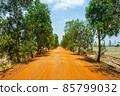 Cambodian country road away from the city center 85799032