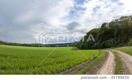 Rural road, green agriculture field panorama 85799859