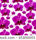 Bright pink orchid seamless pattern on white Bright pink orchid seamless pattern on white 85800005