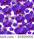 Violet orchid with long leaves seamless pattern on white Violet orchid with long leaves seamless pattern on white 85800006