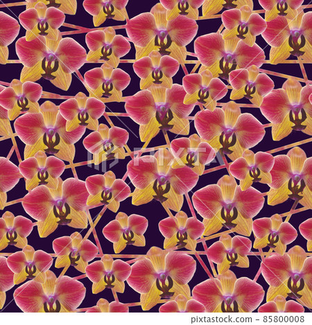 Pink and orange orchid with lines seamless pattern on dark purple Pink and orange orchid with lines seamless pattern on dark purple 85800008