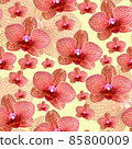 Pink orchid with red veins seamless pattern on yellow Pink orchid with red veins seamless pattern on yellow 85800009
