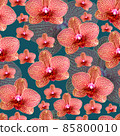 Pink orchid with red veins seamless pattern Pink orchid with red veins seamless pattern 85800010