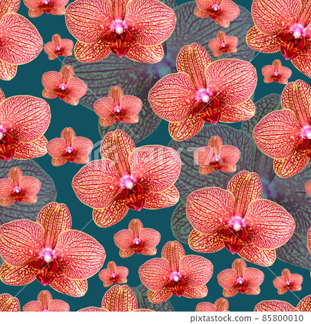 Pink orchid with red veins seamless pattern 85800010