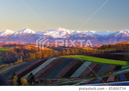 Tokachidake mountain range and Shikisai no Oka in late autumn during the magic hour 85800734