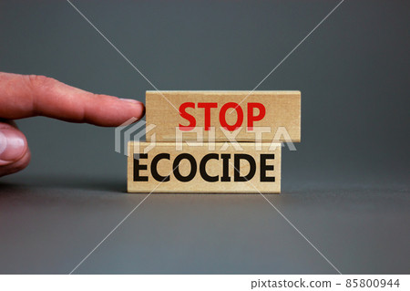 Stop ecocide symbol. Wooden blocks with words stop ecocide. Businessman hand. Beautiful grey background, copy space. Business, ecological and stop ecocide concept. 85800944