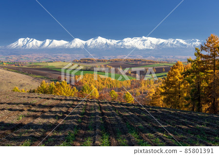 Tokachidake mountain range and Biei hill with the first snowfall Tokachidake mountain range and Biei hill with the first snowfall 85801391