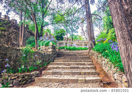 Courtyard of medieval Castle of Leiria Castelo de Leiria 85801501