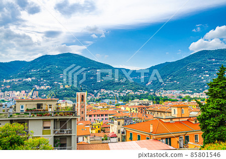 Aerial panoramic view of La Spezia city historical centre and mountain range, green hills background 85801546