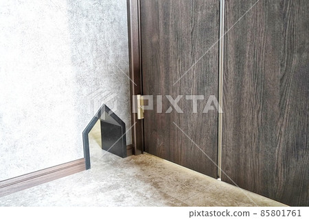 Living room in a new house with a passage for cats 85801761