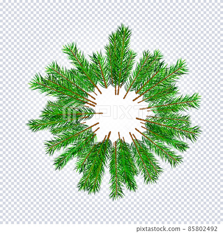 Frame Christmas tree fir branch pattern 85802492