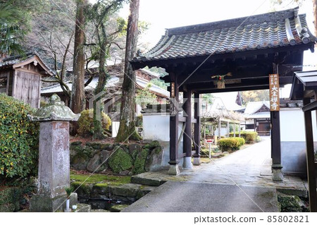 大成寺山門 大成寺山門 85802821