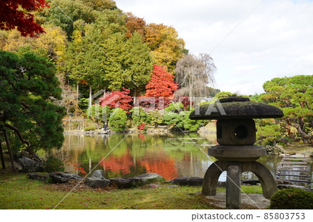 Autumn Japanese Garden Autumn Japanese Garden 85803753