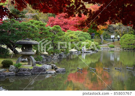 Autumn Japanese Garden Autumn Japanese Garden 85803767