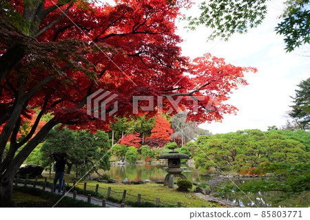 Autumn Japanese Garden Autumn Japanese Garden 85803771