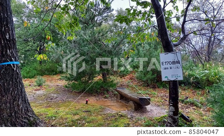 續日本的100座精美城堡雨Samegao城堡E170 Kuruwa Higashiichinomaru 85804047