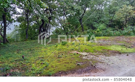 Continued 100 Fine Castles in Japan Rain Samegao Castle E170 Kuruwa Higashiichinomaru 85804048