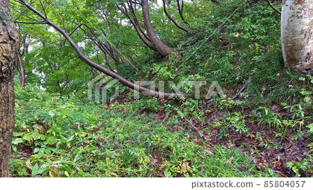 Continued 100 Fine Castles in Japan Rain Samegao Castle Horikiri 6 Continued 100 Fine Castles in Japan Rain Samegao Castle Horikiri 6 85804057