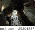 Special Natural Monument Akiyoshi Cave 85804287