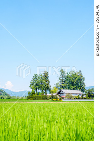國家景觀在夏天 國家景觀在夏天 85804346