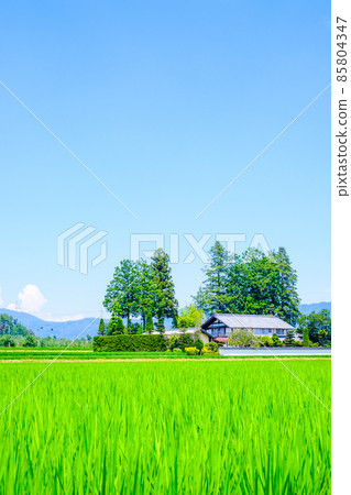 國家景觀在夏天 國家景觀在夏天 85804347