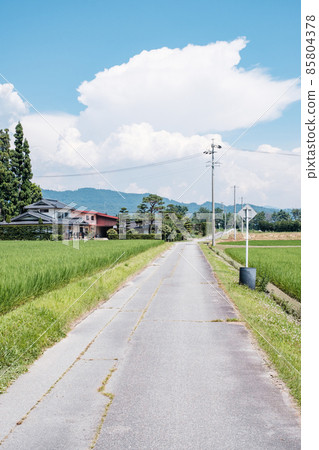 國家景觀在夏天 85804378