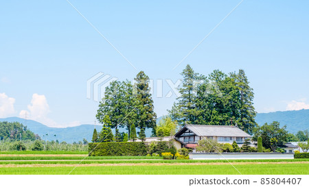 國家景觀在夏天 國家景觀在夏天 85804407