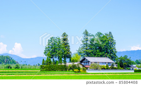 Country landscape in summer 85804408