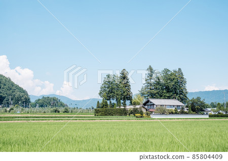國家景觀在夏天 國家景觀在夏天 85804409