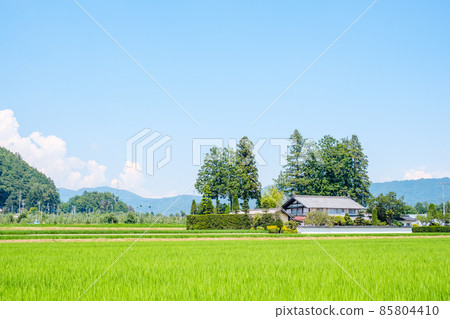 國家景觀在夏天 國家景觀在夏天 85804410
