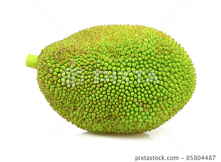 jackfruit isolated on white background jackfruit isolated on white background 85804487