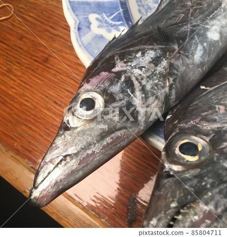 帶魚即使是生魚片也很好吃 85804711