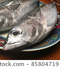 土佐和室戶的天然魚，產地直送魚，價格低廉，美味的護衛艦金槍魚 85804719
