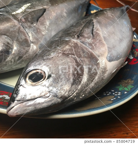土佐和室戶的天然魚，產地直送魚，價格低廉，美味的護衛艦金槍魚 85804719