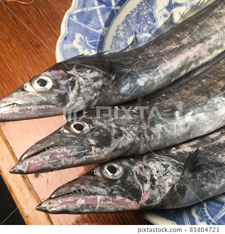Tosa's cutlass fish In Kansai, it is a common fish that is comparable to the saury. Tosa's cutlass fish In Kansai, it is a common fish that is comparable to the saury. 85804721