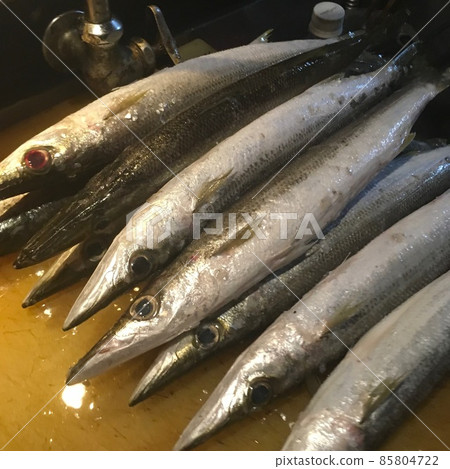 土佐的天然魚,藍鮫科,又稱水鮫科。 土佐的天然魚,藍鮫科,又稱水鮫科。 85804722