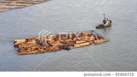Logs pulled by a tugboat on Fraser River. 85804728