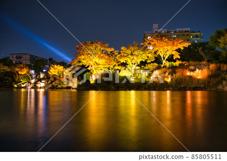 Kyoto Wataruen Illumination 2021 Autumn 85805511