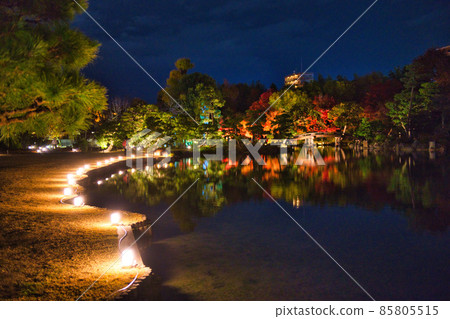 Kyoto Wataruen Illumination 2021 Autumn 85805515