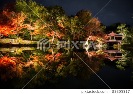 Kyoto Wataruen Illumination 2021 Autumn Kyoto Wataruen Illumination 2021 Autumn 85805517